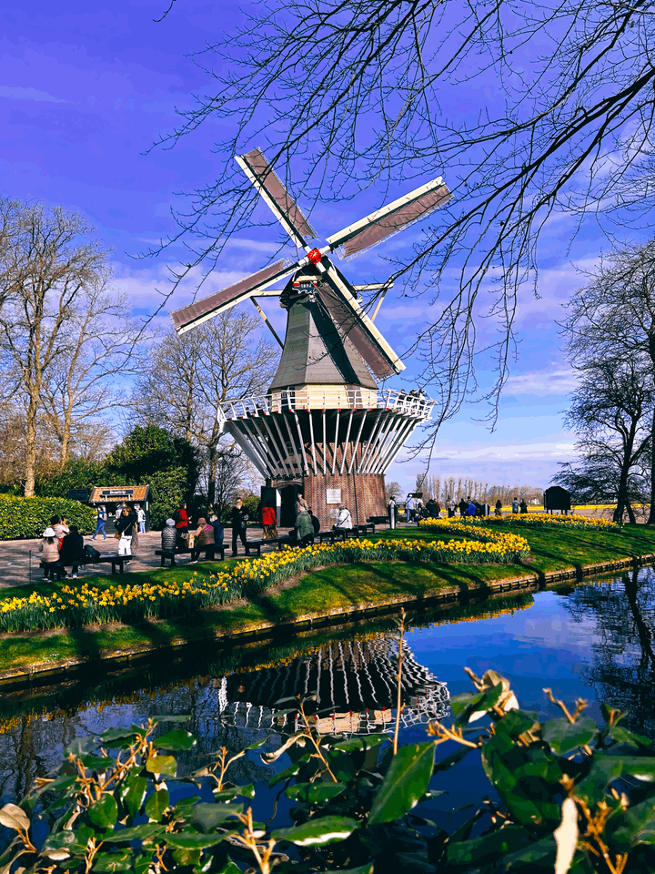 Windmills, Tulips and a Spring Road Trip